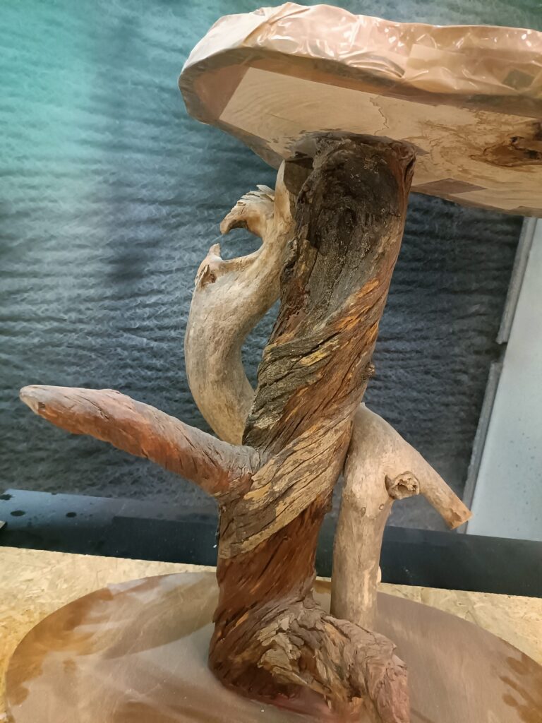 Pihlajapuu. vanha ja niin majesteettinen elämän ilmentyvä. hämmentävän hieno pala puuta